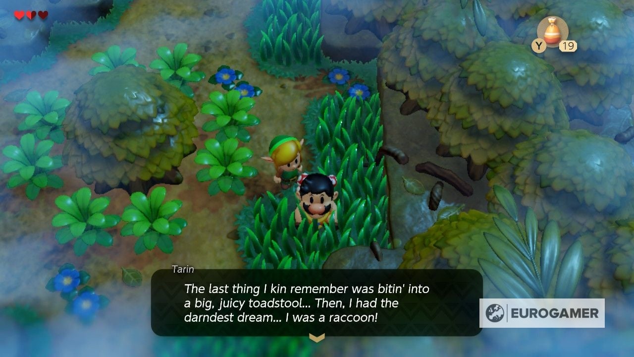 Zelda Link's Awakening Mysterious Forest's Tail Key location, and